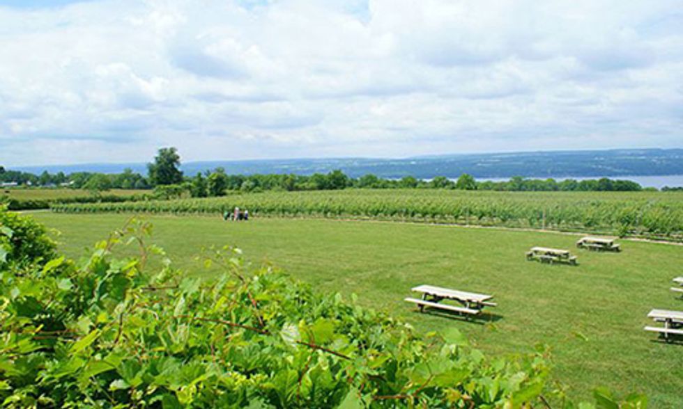 FERC Approves Methane Storage Project in Finger Lakes Region of New York