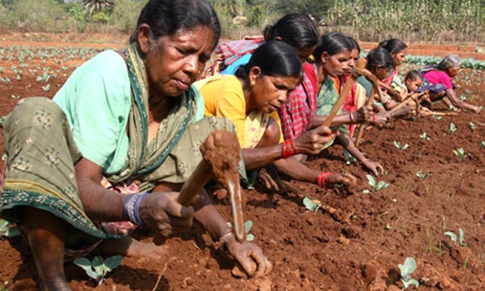 Barriers to Sustainable Farming Put Burden on World's Poor