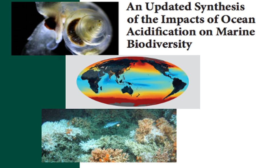 Ocean Acidification from Climate Change Could Cost $1 Trillion