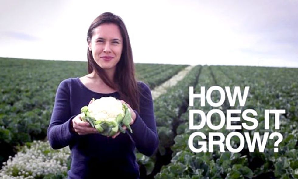 Farmers Do What to Keep Cauliflower White?