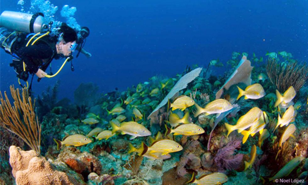 500 Years After Columbus, Cuba's Gardens of the Queen Still Pristine