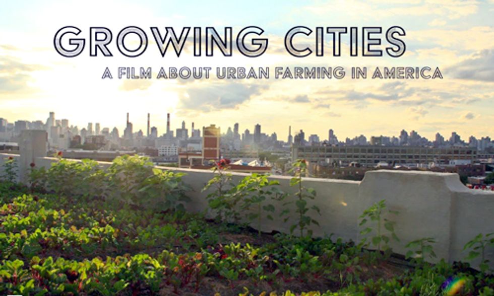 How Urban Farming Is Revitalizing America