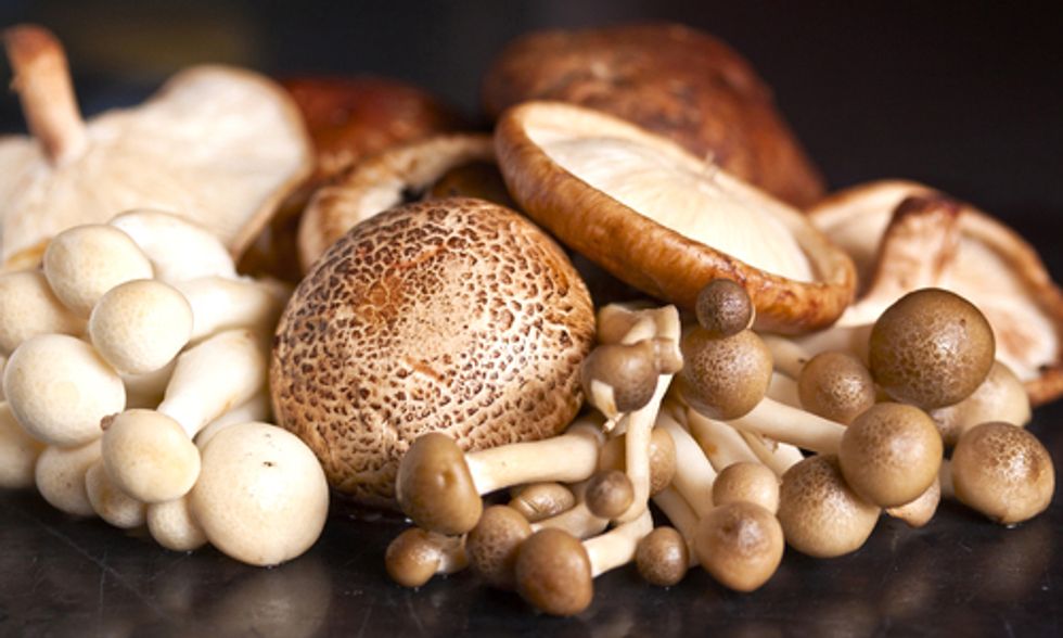 Health Benefits of Eating Mushrooms