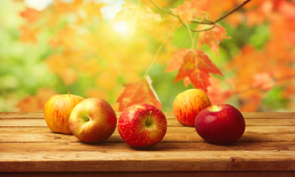 8 Superfoods You Should Eat This Fall