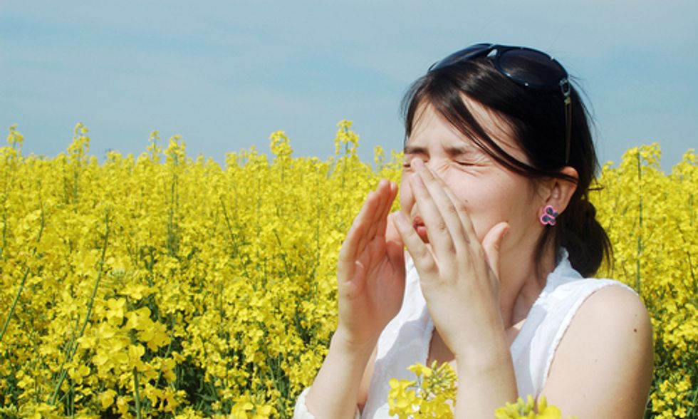 How Climate Change Could Increase Pollen Levels by 200%