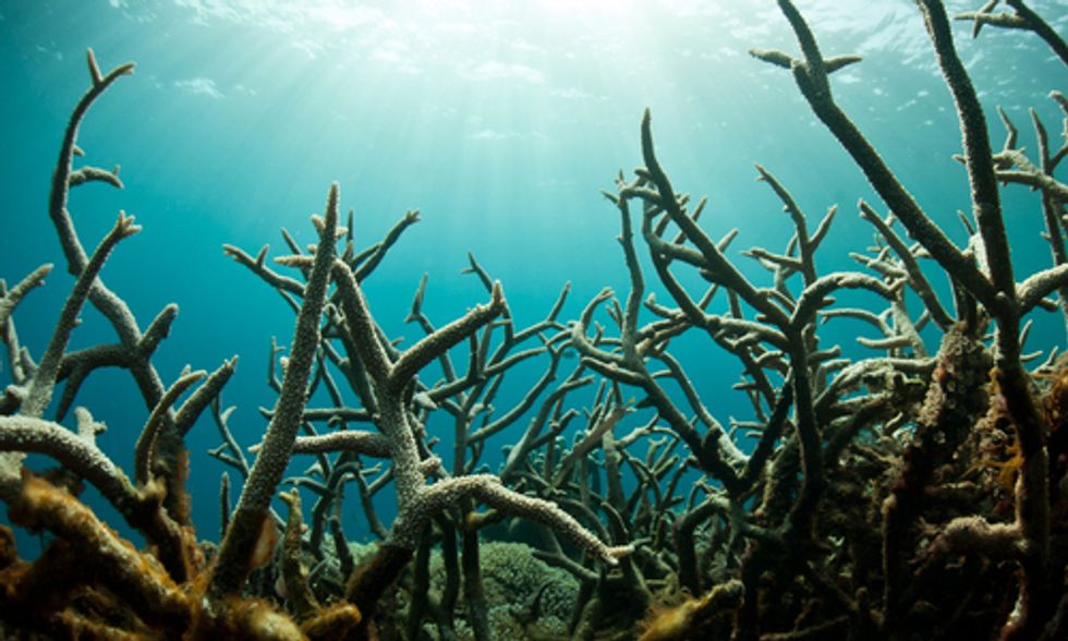Groundbreaking Maps Detail Acidity of the Earth's Oceans