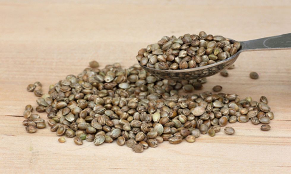 5 Great Ways to Include Hemp Seeds in Your Daily Diet