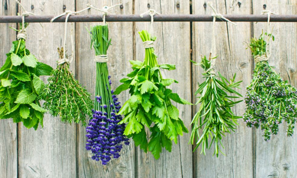 10 Natural Ways to Keep Insects Out of Your Home
