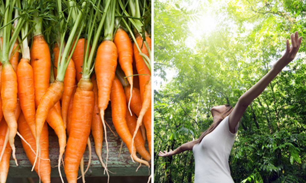 Eating Healthy Mitigates Climate Change