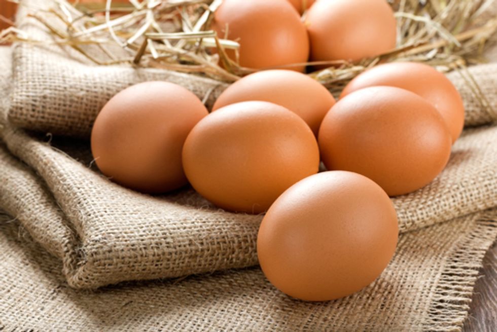 Organic vs. Conventional: Find Out Which Eggs Are Healthiest to Eat