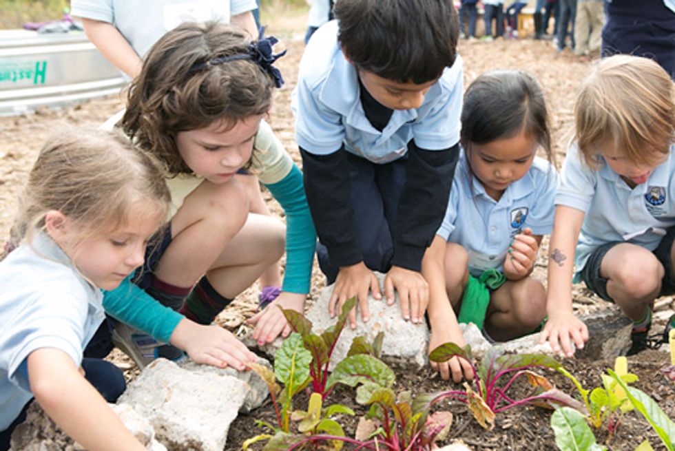 10 Cities Revolutionizing Local Food