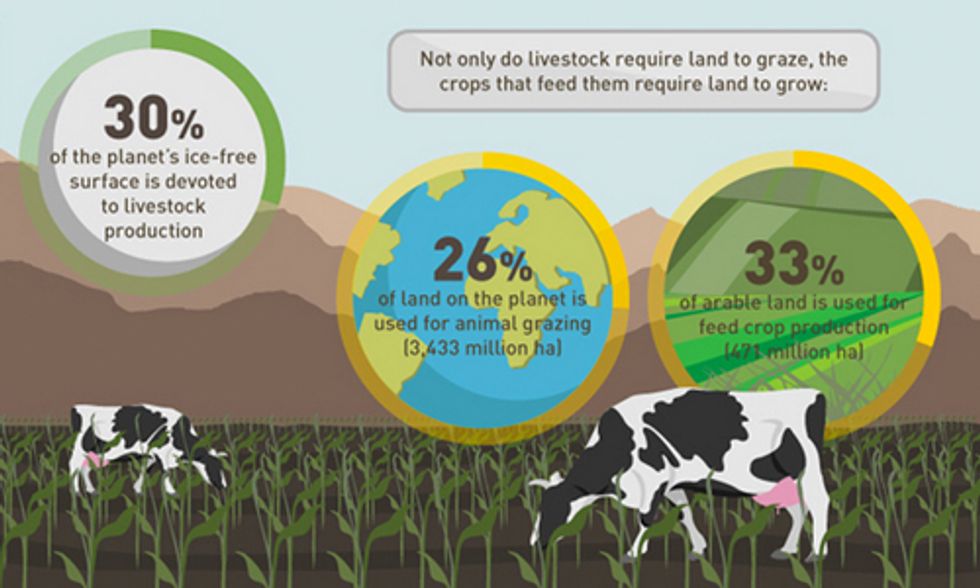 How This Trending Diet Is Saving the Planet