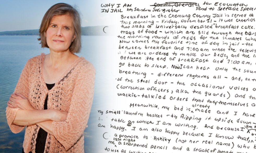Sandra Steingraber: Why I am in Jail