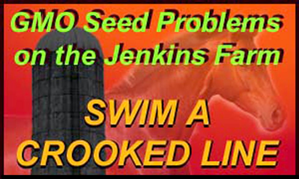 Swim A Crooked Line