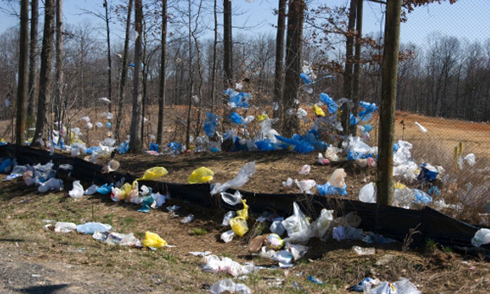 Europe Passes Historic Limits on Plastic Bags