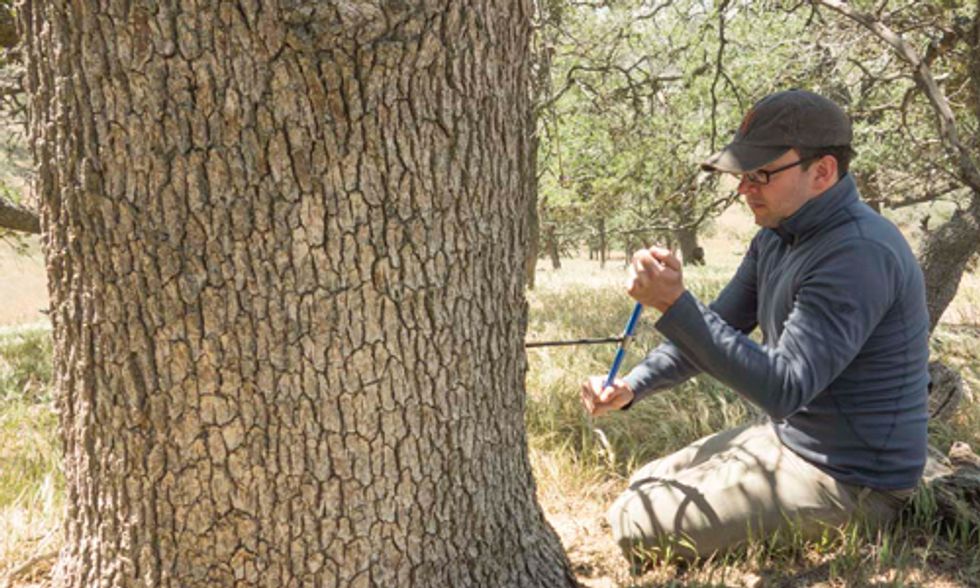 California Experiences Worst Drought in 1,200 Years
