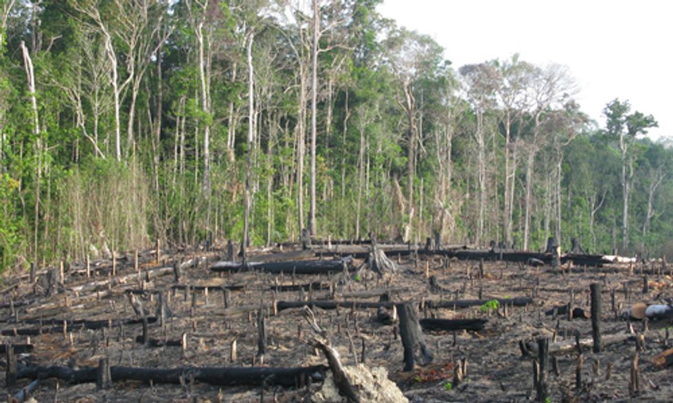 Latin Americans Pay Price for Corporate Climate Destruction