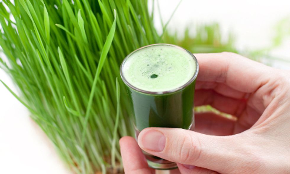 Health Benefits of Wheatgrass