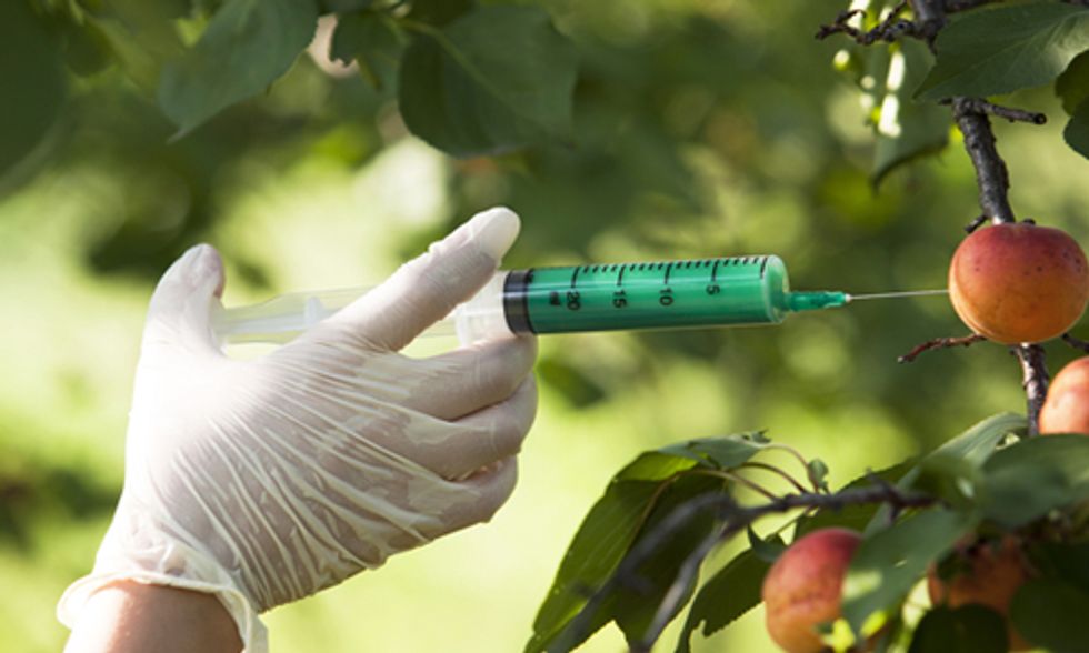 4 Common GMO Claims Debunked