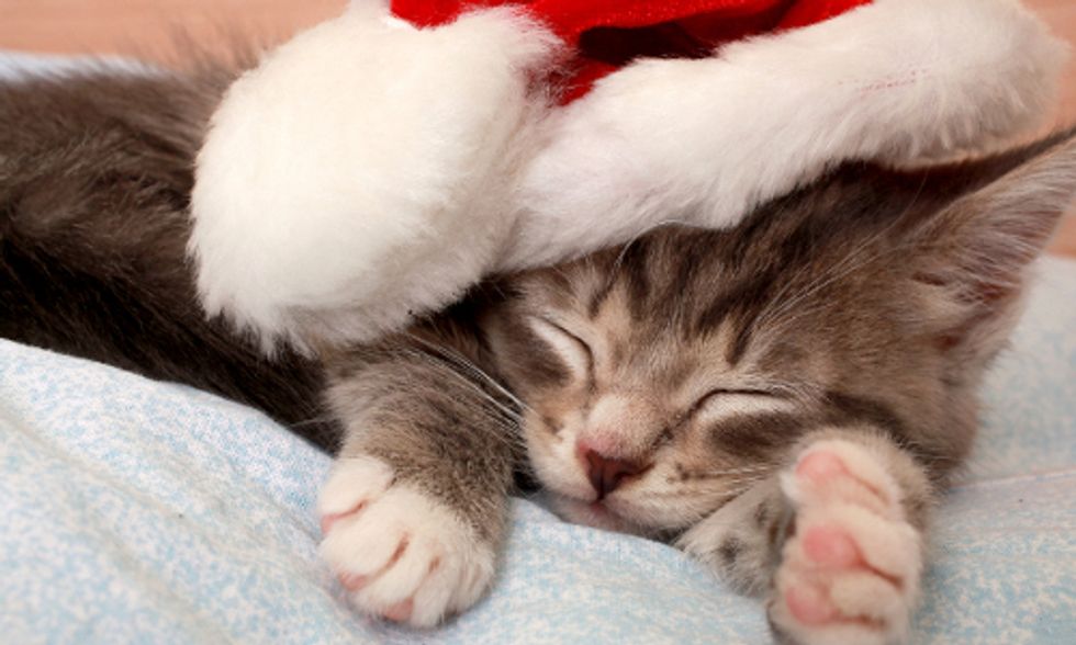 6 Ways to Eat, Drink and Still Be Merry