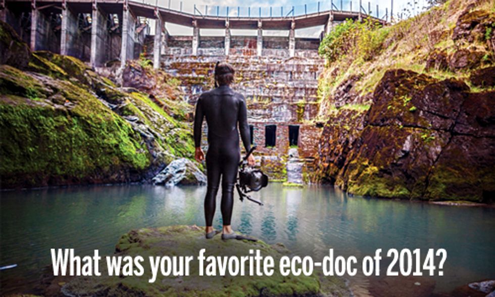10 Best Eco-Docs of 2014