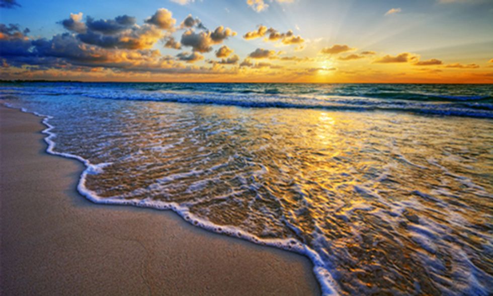 14 Ocean Conservation Wins of 2014