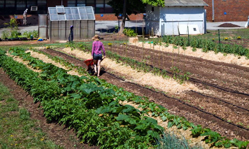 4 Innovative Community Food Projects Empowering Low-Income Residents