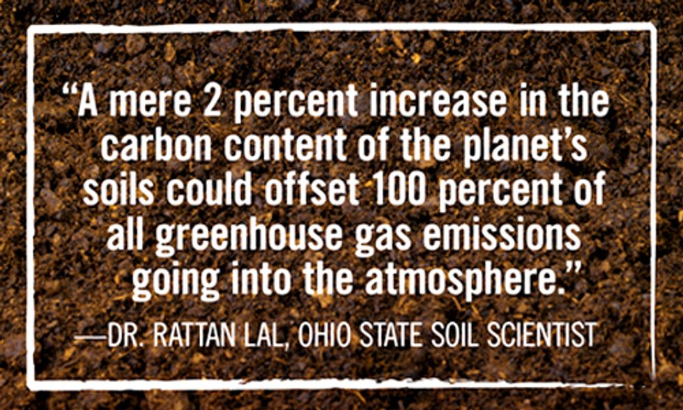 The Solution Under Our Feet: How Regenerative Organic Agriculture Can Save the Planet