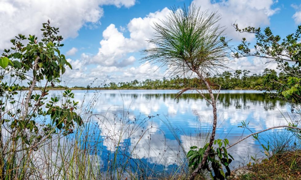 Fracking Ban Bill Introduced in Florida