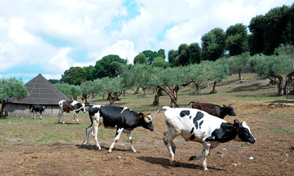 Pope Francis to Open Vatican Farm to the Public