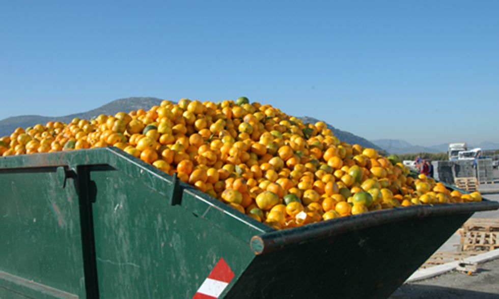 New Website Shows You How to Waste Less, Enjoy More