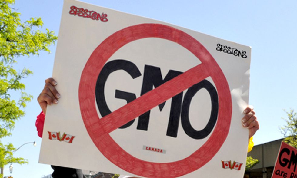 12 Ways to Rid the Planet of GMOs and Monsanto's Roundup