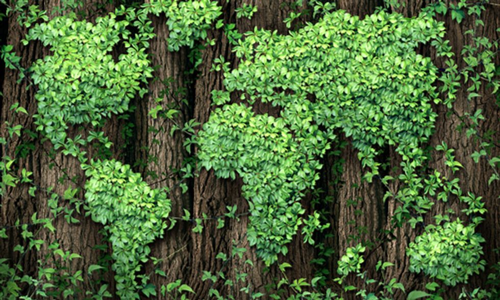Is the Climate Movement at a Tipping Point?