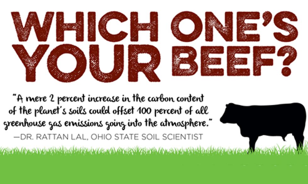 Part II: How Regenerative Organic Agriculture Can Save the Planet