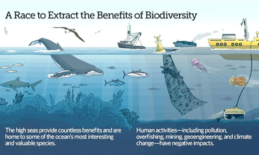 Why We’re Not Protecting Half the Planet (and How We Can Change That)