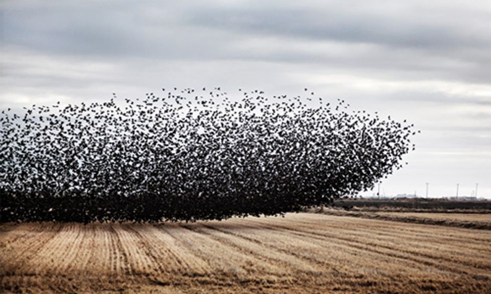 Remarkable Images of California's Epic Drought Show Impact on Farmers