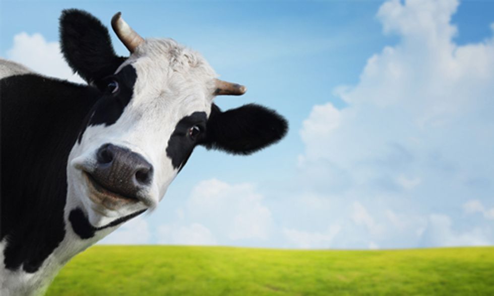 10 Most Important Things We Can Do to Change the Food System