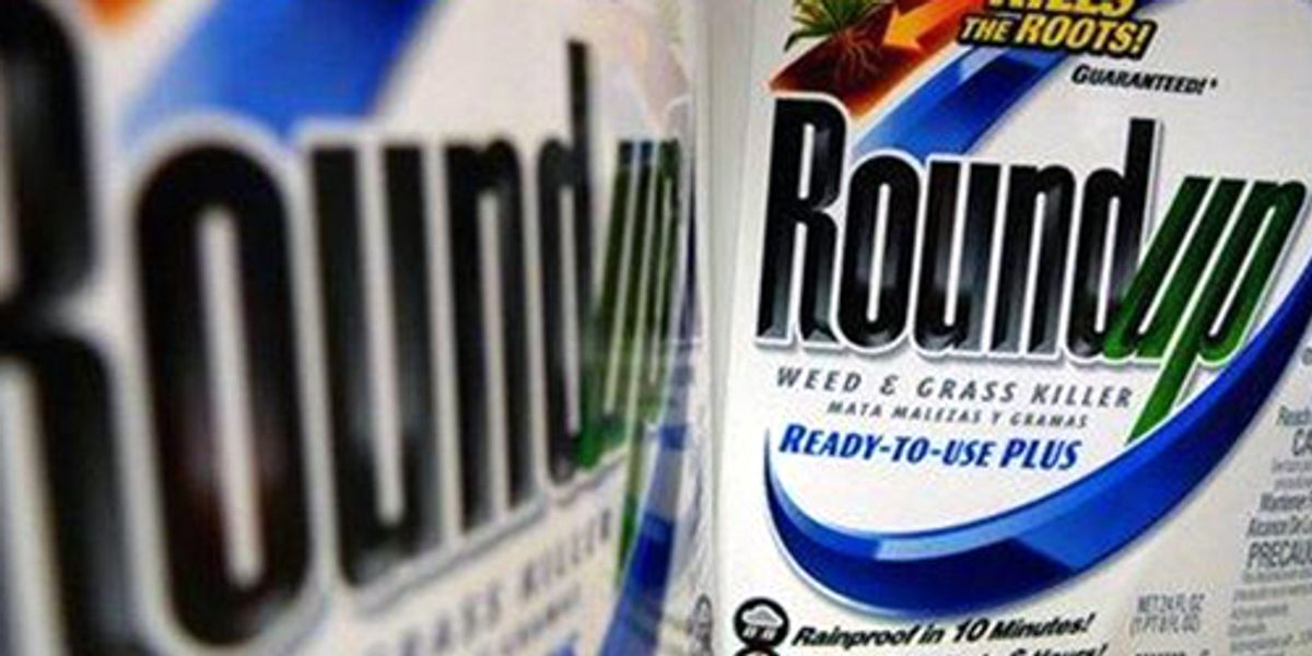 15 Health Problems Linked to Monsanto's Roundup EcoWatch