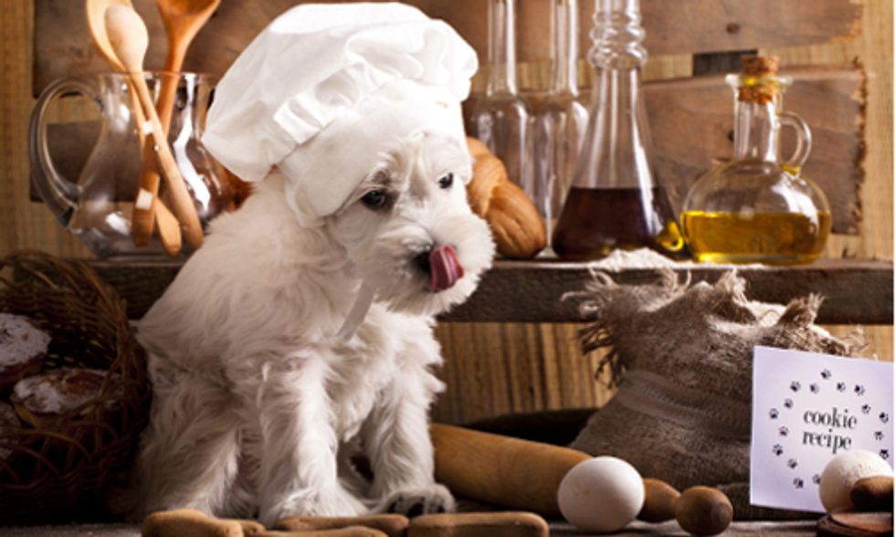 What's the Healthiest All-Natural Diet for Your Dog?