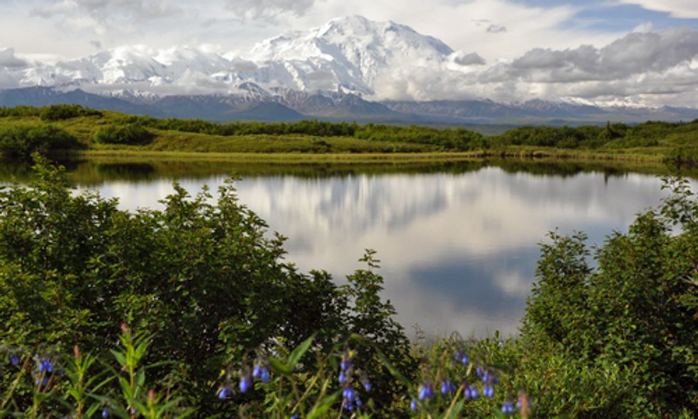 Obama Seeks Wilderness Designation for Arctic National Wildlife Refuge