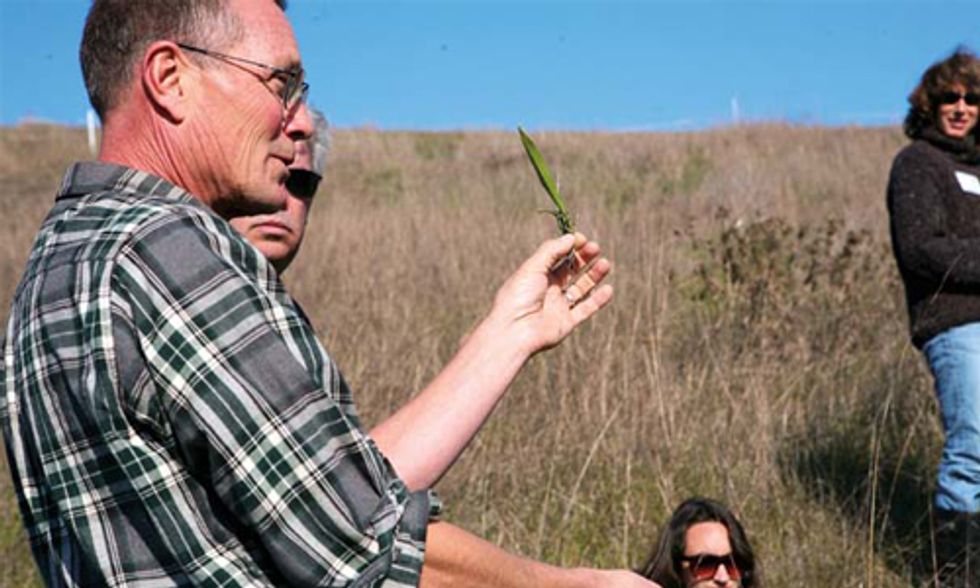 Farmers Rewarded for Practicing 'Carbon Farming'