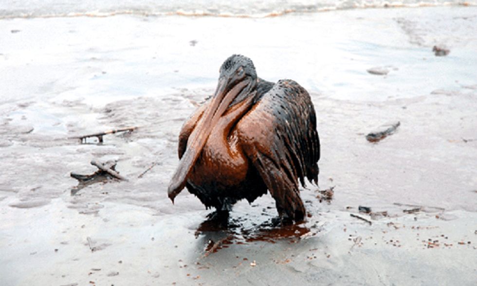 Obama Administration Proposes Opening Atlantic Coast to Offshore Drilling