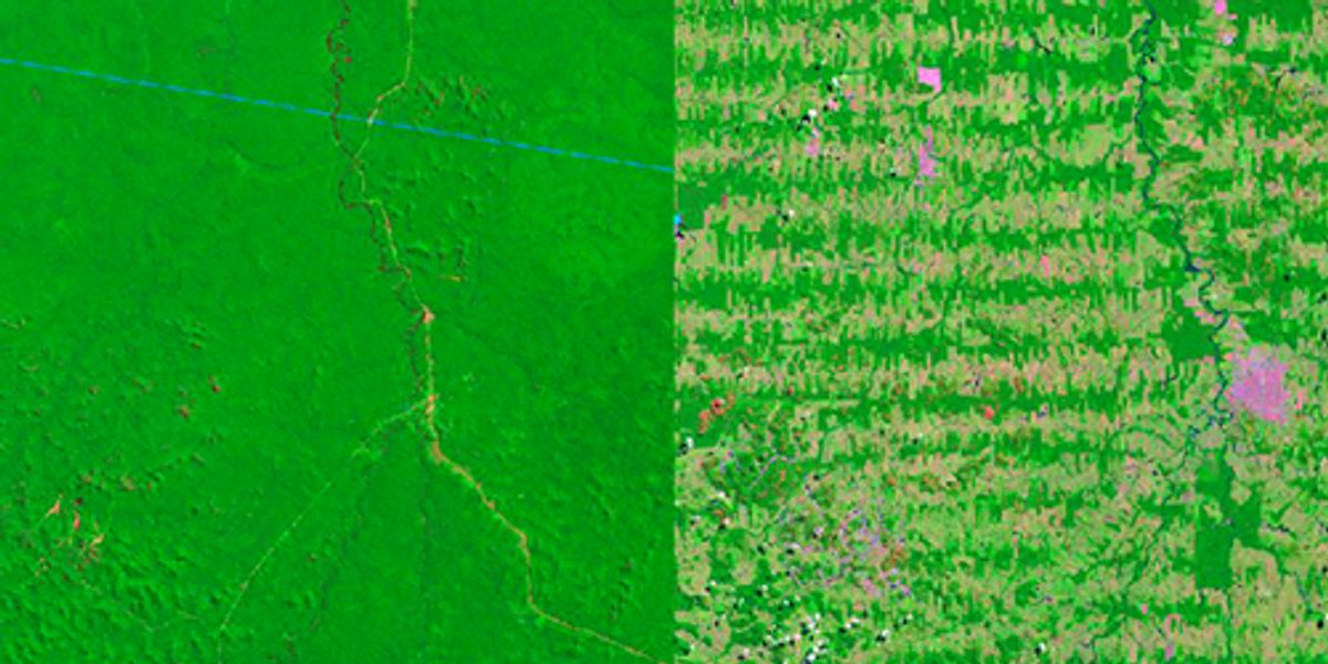 6 Striking Aerial Images Show How Deforestation Has Altered The Earth Ecowatch