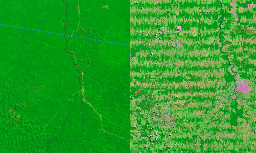 6 Striking Aerial Images Show How Deforestation Has Altered the Earth
