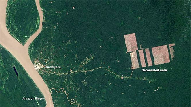 6 Striking Aerial Images Show How Deforestation Has Altered The Earth Ecowatch