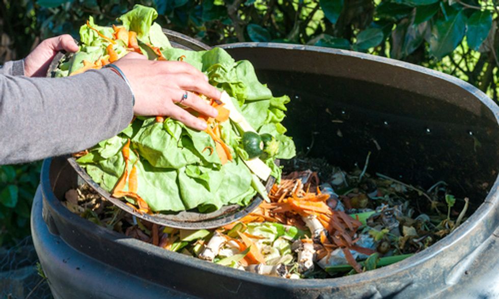 Find Out Which U.S. City Shames You Into Composting