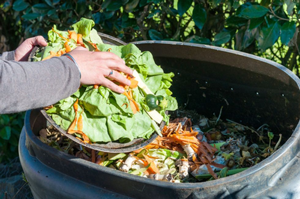 Find Out Which U.S. City Shames You Into Composting - EcoWatch