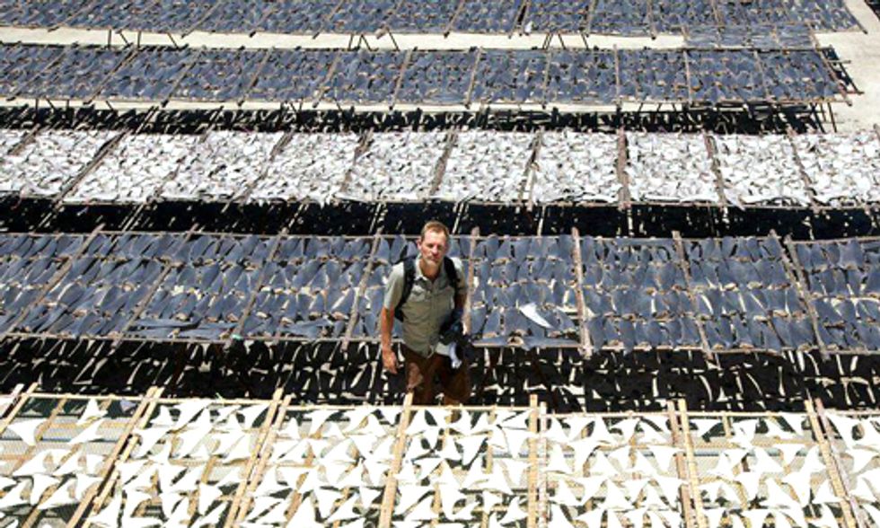 Racing Extinction: A Must-See Documentary of 2015, World Premier at Sundance