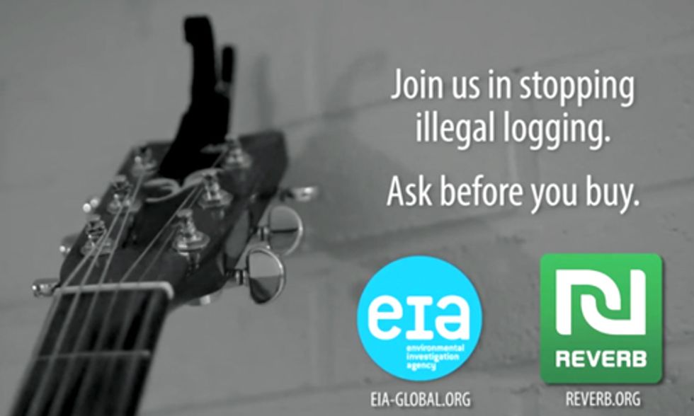 Jason Mraz, Maroon 5, Linkin Park, Guster Speak Out Against Illegal Logging