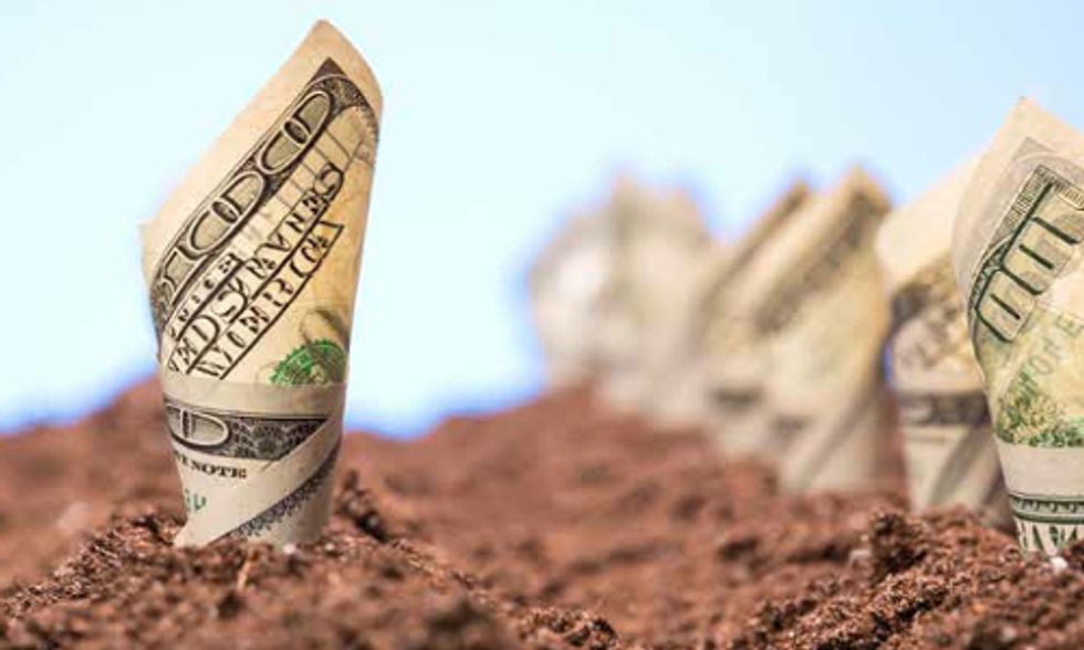 3 Key Trends to Watch in Green Business